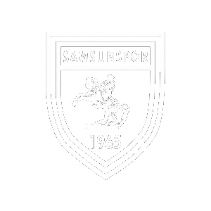 Samsunspor giphyupload samsun samsunspor kingofthenorth Sticker