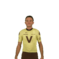 Velo Smile Sticker by AG2R CITROËN TEAM