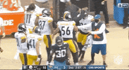 Pittsburgh Steelers Football GIF by NFL