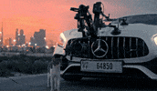 vlad_movv cat kitty mercedes amg gt GIF