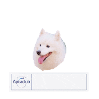 몽몽 Sticker by AptaclubKR