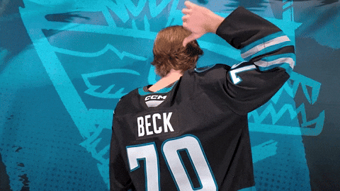 Check It Out San Jose GIF by San Jose Barracuda
