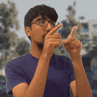 North Blvd GIF
