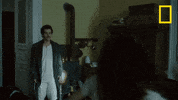 albert einstein natgeo channel GIF by National Geographic Channel