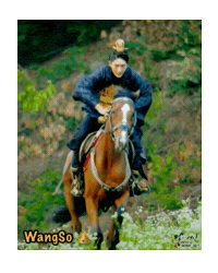 Scarlet Heart Ryeo Iu Sticker