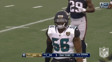 Jacksonville Jaguars Football GIF by NFL