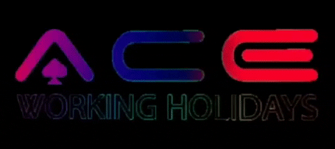 Aceworkingholidays ace maga ibiza napa GIF