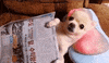 relax GIF