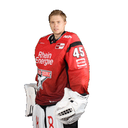 Fight Hockey Sticker by Koelner Haie