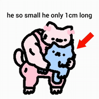 Spainnubcat GIF