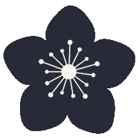Peach Blossom Sticker by Momohara Media