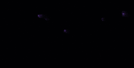 James Madison Logo GIF by JMUDukes
