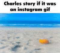 Beach Cherry GIF
