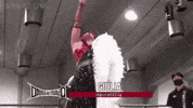Stardom GIF