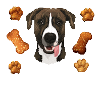 Snackshomemadetreats dog food rangertrooper ranger trooper dog snacks Sticker