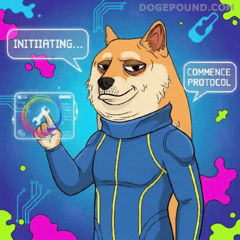 Initiating Lets Go GIF by Doge Pound