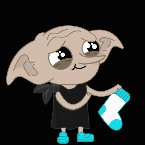 Socks Potter GIF
