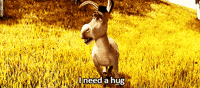 shrek hug GIF