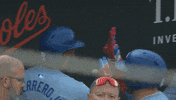 Blue Jays Sport GIF by Toronto Blue Jays