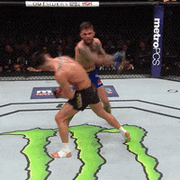 GIF by UFC