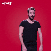 Work Idk GIF by SWR3