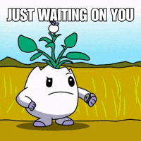 Hurry Up Waiting GIF by Magic Eden