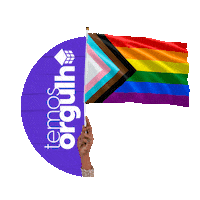 soumirantes love pride lgbt bandeira Sticker