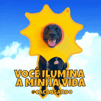 Dog GIF