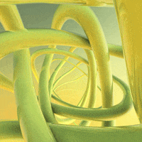 loop tunnel GIF by Shurly