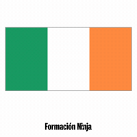 Ireland Flag GIF by Formación Ninja