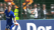 Soccer Goal GIF by FC Schalke 04