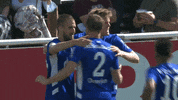Goal Team GIF by FC Schalke 04