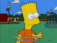 bart simpson episode 6 GIF