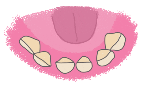Teeth Dentist Sticker