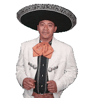 Happy Dance Sticker by Viva Mexico Mexikanische Musik