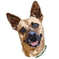 WalksWithAlex doggy dog walking dog smile dog walker Sticker