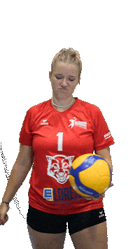 RotesRudel volleyball svf fellbach Sticker
