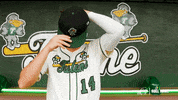 College Baseball Simon GIF by GreenWave