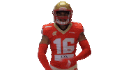LesArgonautes celebration nfl flex touchdown Sticker