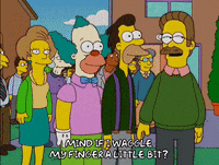 homer simpson episode 20 GIF