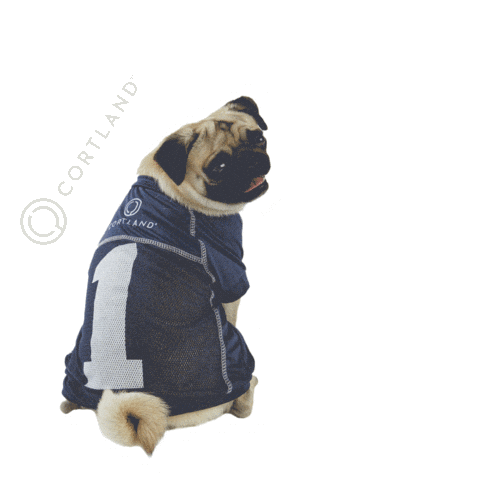 CortlandLiving number one number 1 top dog cortland Sticker