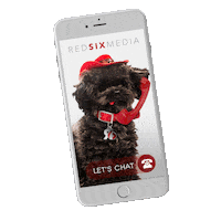 R6 Sticker by Red Six Media