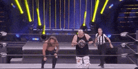 Chris Jericho Aew On Tnt GIF by All Elite Wrestling on TNT