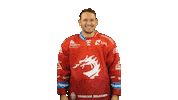 Ice Hockey Sticker Sticker by HC Oceláři Třinec