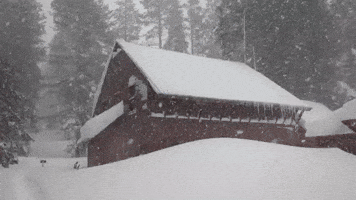 'We Just Passed the 6-Foot Mark for This Storm': Snow Buries California Mountains