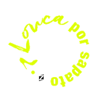 shoes studiozcalcados Sticker by STZ