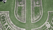 university of oklahoma GIF