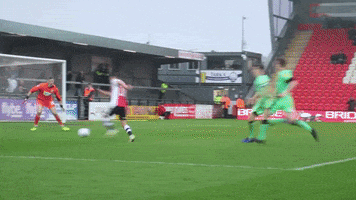 ecfc exetercity GIF by Exeter City Football Club