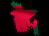 Victory Day Flag GIF