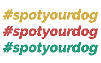 Spotyourdog Sticker by BB's Grooming & Doggy Daycare